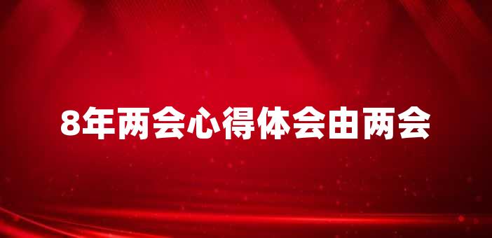 8年兩會心得體會由兩會引發的思考