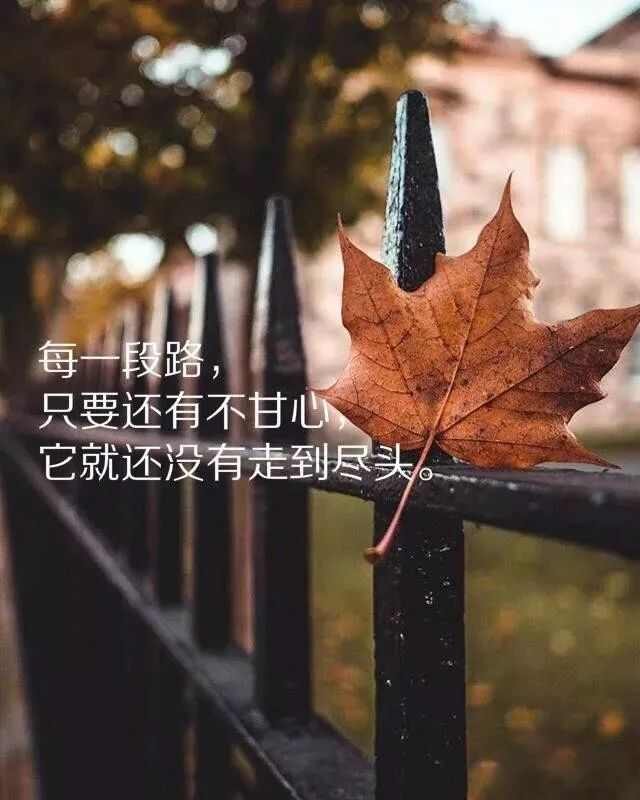 人生寄语生活感悟短句