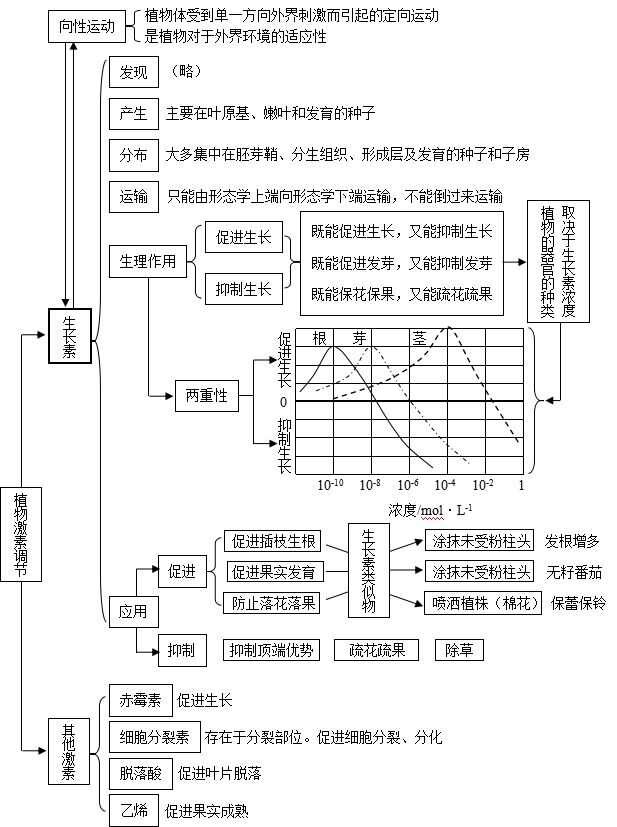 植物生命调节思维导图图片